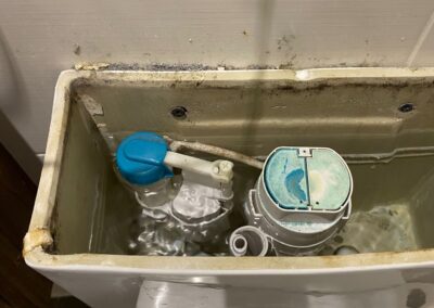 Plumbing and Drainage Company Cheshunt Waltham Cross loo flush problems