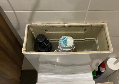 Plumbing and Drainage Company Cheshunt Waltham Cross Toilet flush systems fixed and replaced